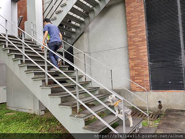 北投-到我心目中的霍格華茲學校-台北藝術大學避暑去