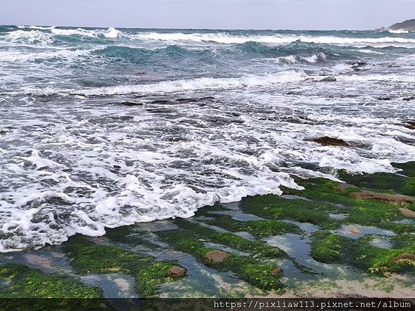 【北海岸】石門老梅綠石槽綿延2公里的綠色地毯-季節限定
