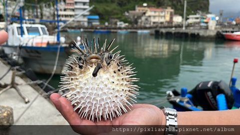 台北遊記|北海岸鼻頭角步道 聽濤咖啡café無敵海景超美的