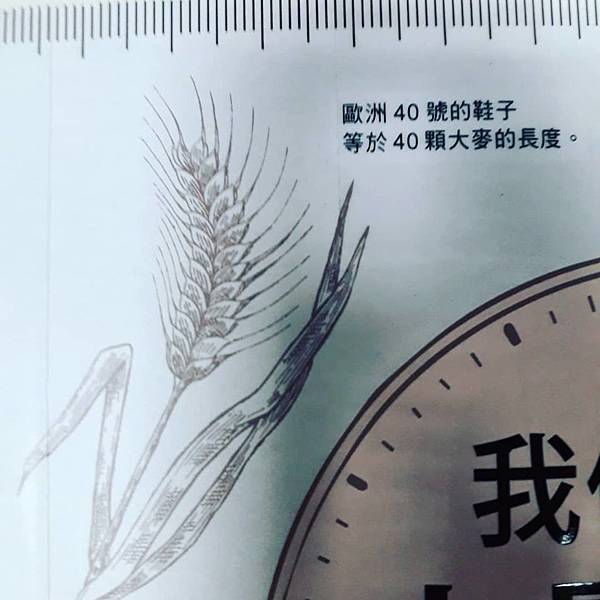 我們如何丈量世界_封面_2.jpg 我們如何丈量世界_封面_2.jpg