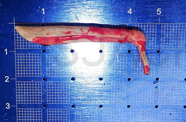 M Silicone.jpg M Silicone.jpg