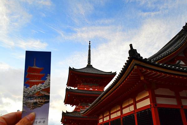 「京都清水寺」2024賞楓(賞櫻)必拍超人氣景點推薦｜四季皆