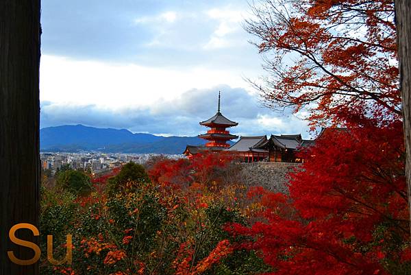 「京都清水寺」2024賞楓(賞櫻)必拍超人氣景點推薦｜四季皆