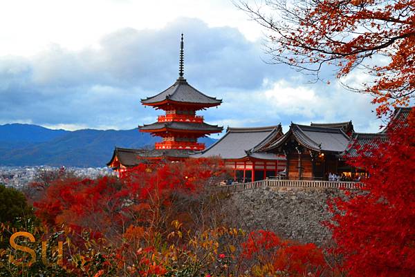 「京都清水寺」2024賞楓(賞櫻)必拍超人氣景點推薦｜四季皆