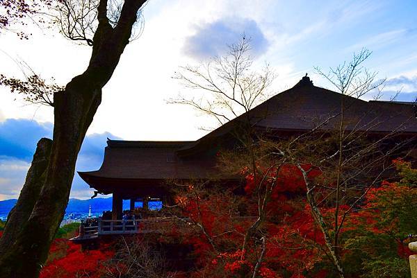 「京都清水寺」2024賞楓(賞櫻)必拍超人氣景點推薦｜四季皆