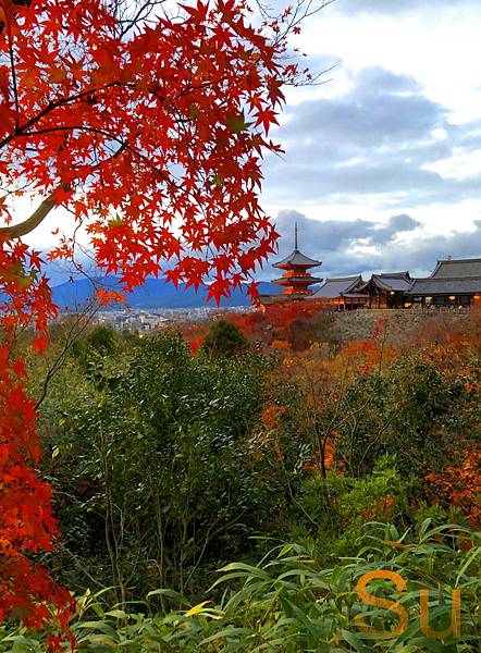 「京都清水寺」2024賞楓(賞櫻)必拍超人氣景點推薦｜四季皆