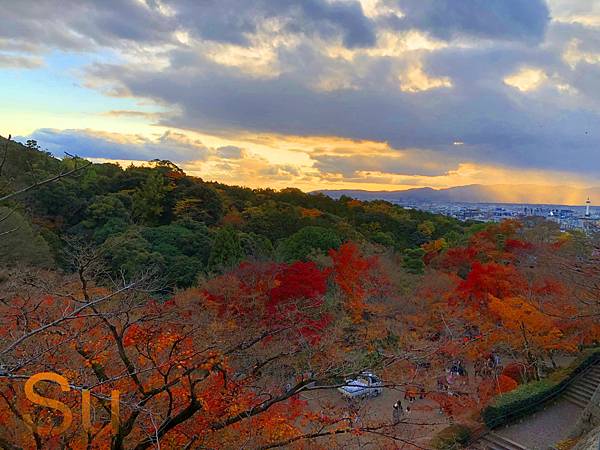 「京都清水寺」2024賞楓(賞櫻)必拍超人氣景點推薦｜四季皆