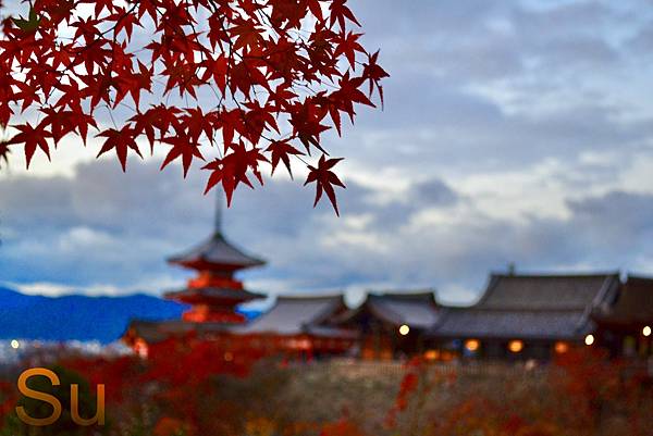 「京都清水寺」2024賞楓(賞櫻)必拍超人氣景點推薦｜四季皆