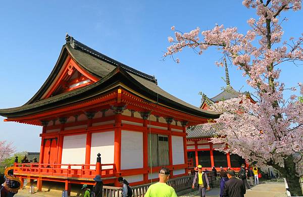 「京都清水寺」2024賞楓(賞櫻)必拍超人氣景點推薦｜四季皆