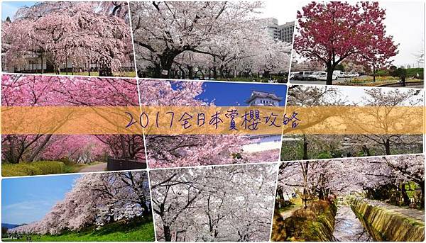 全日本賞櫻攻略 全日本賞櫻攻略