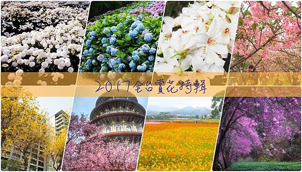 2017全台賞花特輯 2017全台賞花特輯