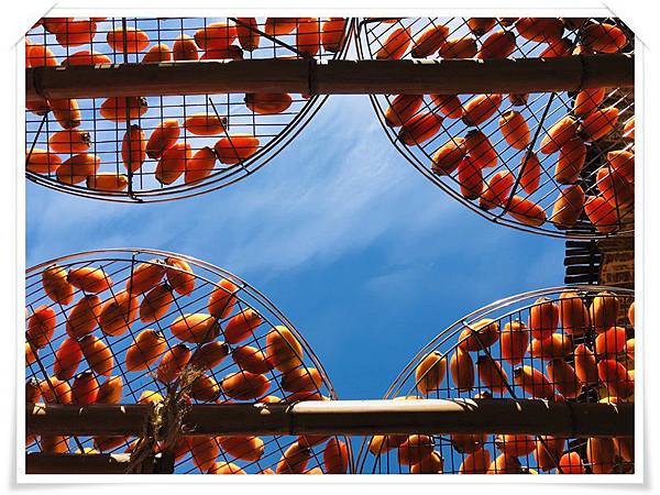 IMG_3007.JPG IMG_3007.JPG