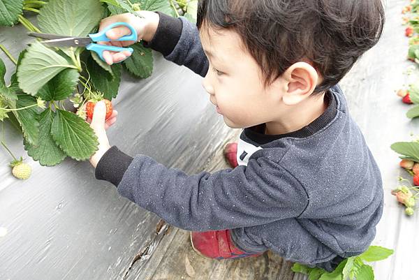 【天然安心的居家清潔】質感又好用的淨毒五郎全系列開箱~蔬 【天然安心的居家清潔】質感又好用的淨毒五郎全系列開箱~蔬