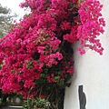 DSC07205.JPG