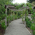 DSC07211.JPG