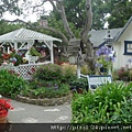DSC07168.JPG