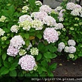 DSC07213.JPG