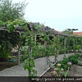 DSC07210.JPG