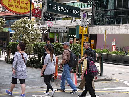 【香港 旅遊】中上環復古風 一日遊。西港城,半山手扶梯,古董