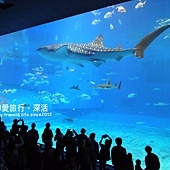 P1370732.JPG P1370732.JPG