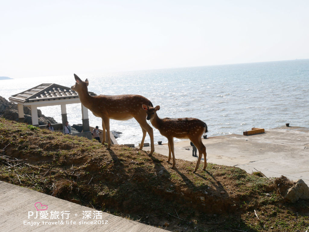 馬祖自由行景點必去必吃美食旅遊花費多少錢清單攻略南竿北竿