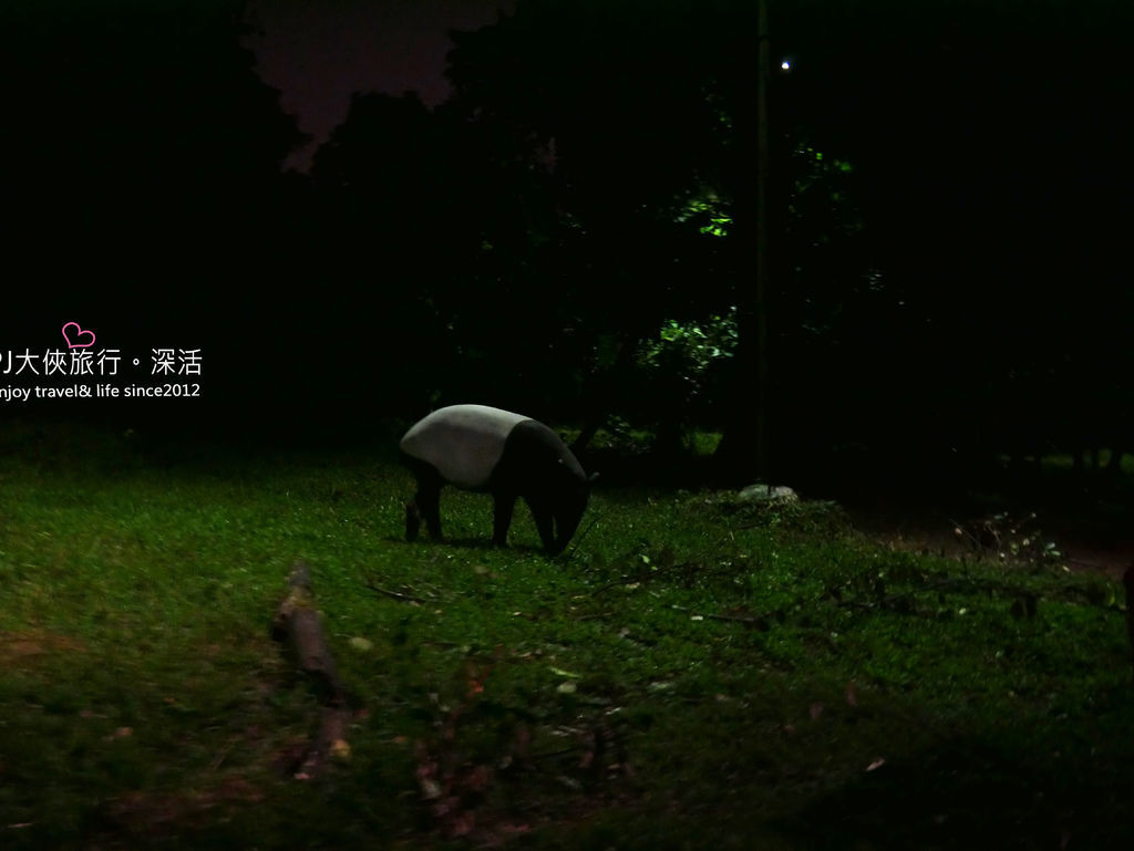 新加坡景點必去打卡熱門推薦人氣旅遊野生動物園自助自由行4日5日景點門票價格