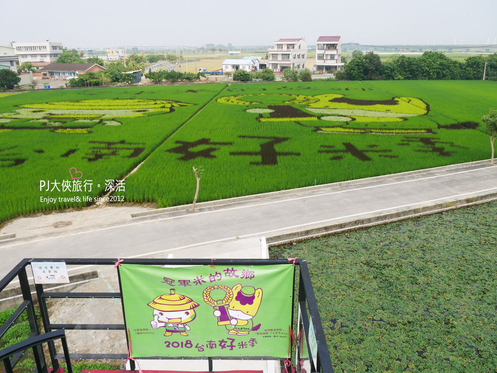 【台南 旅遊】鹽水後壁一日遊 6大景點(附交通+路線地圖)輕