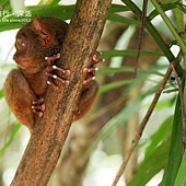 P1440331.JPG P1440331.JPG