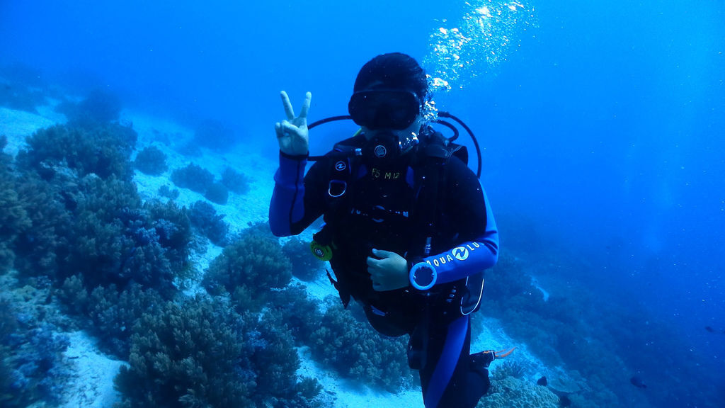 PJ大俠薄荷島巴卡里薩離島保護區潛水海島瘋