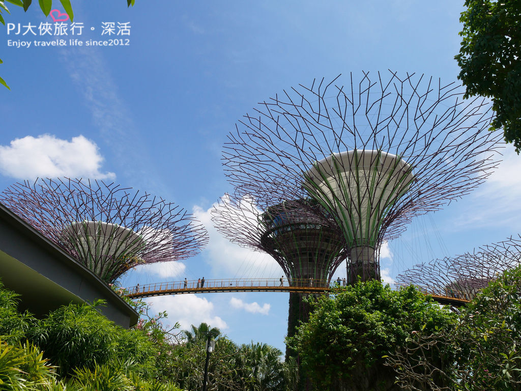 2023新加坡旅遊自由行自助必吃美食必去景點多少錢花費預算攻略懶人包