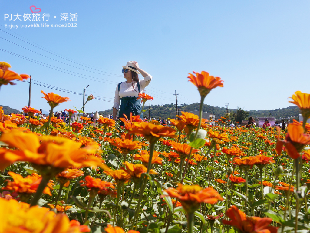 桃園 桃園花彩節11月限定大片波斯菊喜相逢 楊梅展區僅到11 8號喔 桃園冬季11 12月份花海花季攻略 Pj大俠愛旅行 深活 痞客邦 桃園 桃園花彩節11月限定大片波斯菊喜相逢 楊梅展區僅到11 8號喔 桃園冬季11 12月份花海花季攻略 Pj大俠愛旅行 深活 痞客邦