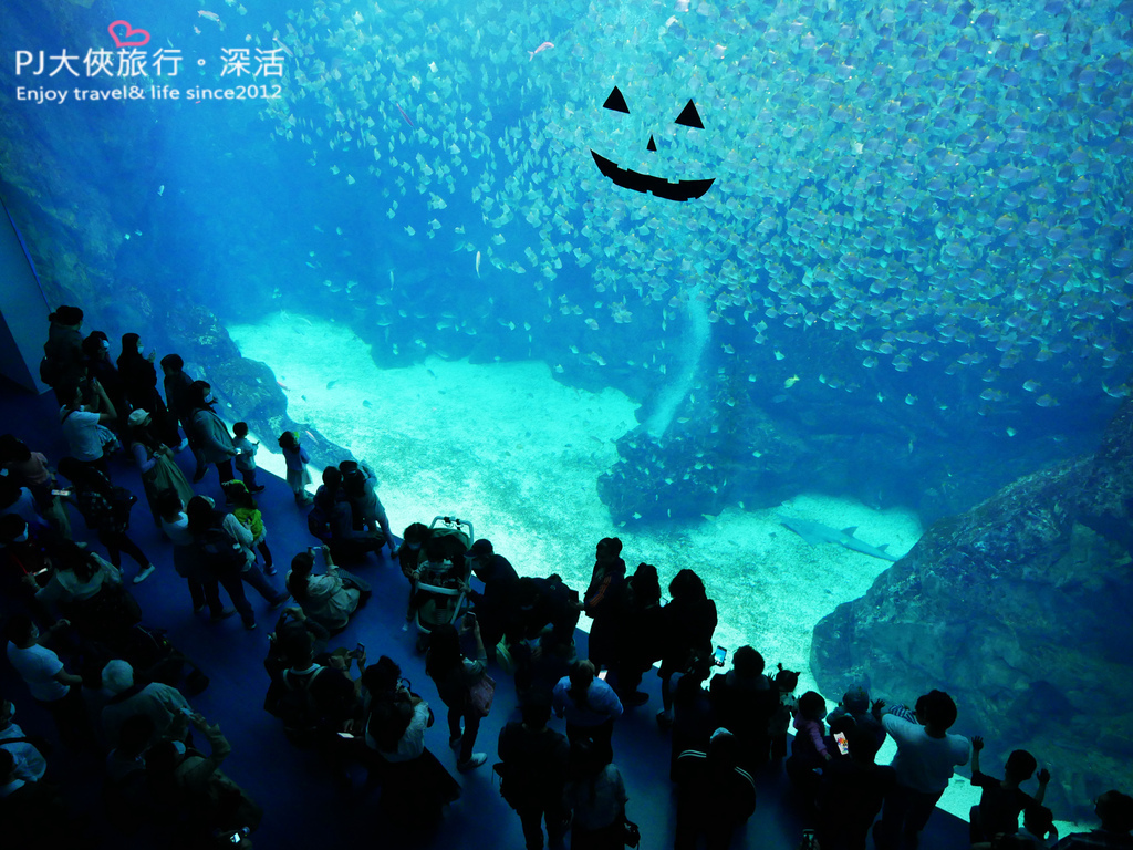 桃園新景點Xpark水族館門票多少錢價格優惠線上折扣票券價錢都會水族室內景點打卡熱門介紹必去過年年節連假