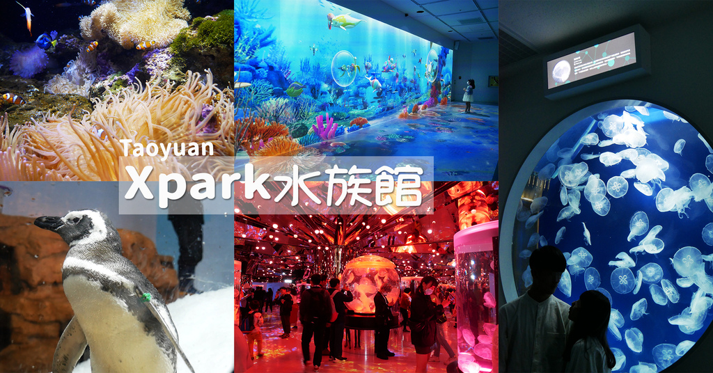桃園新景點Xpark水族館門票多少錢價格優惠線上折扣票券價錢都會水族室內景點打卡熱門介紹必去過年年節連假