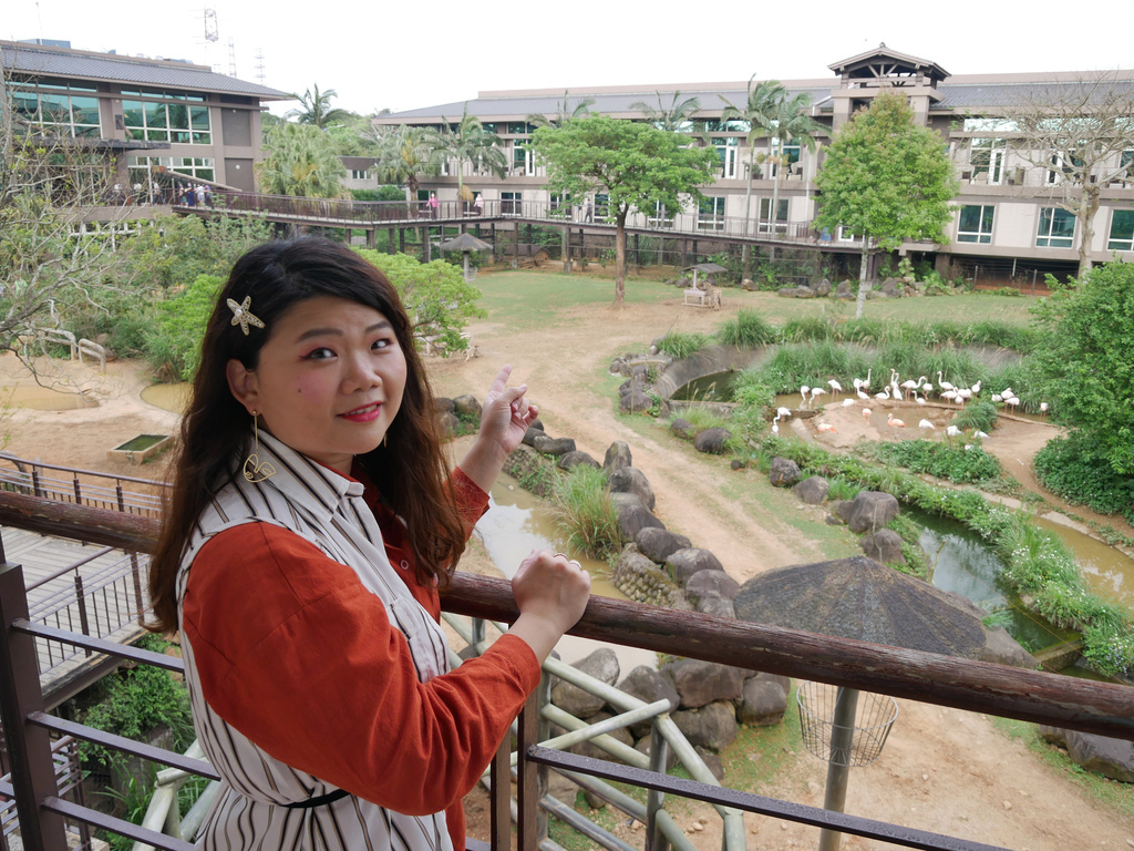 新竹景點關西六福莊旅館飯店六福村動物園