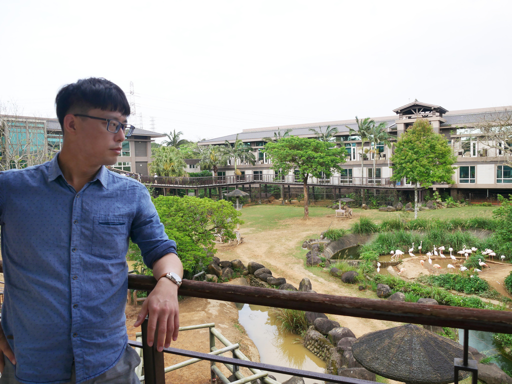 新竹景點關西六福莊旅館飯店六福村動物園