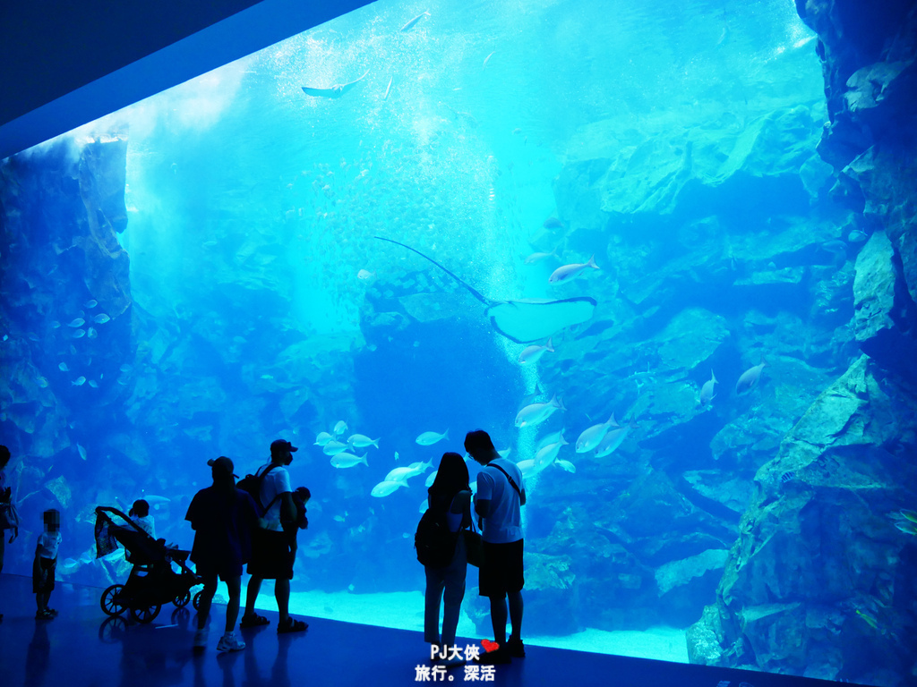 桃園Xpark水族館夜宿體驗線上優惠折扣多少錢價錢價格過夜一泊三食宿海奇遇和逸飯店餐廳逸市集