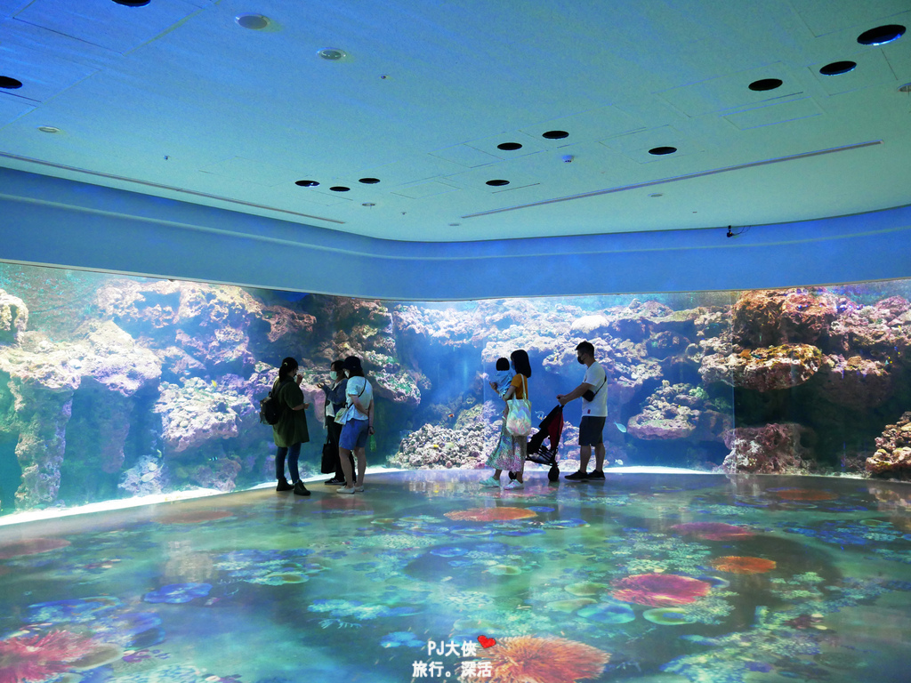 桃園Xpark水族館夜宿體驗線上優惠折扣多少錢價錢價格過夜一泊三食宿海奇遇和逸飯店餐廳逸市集