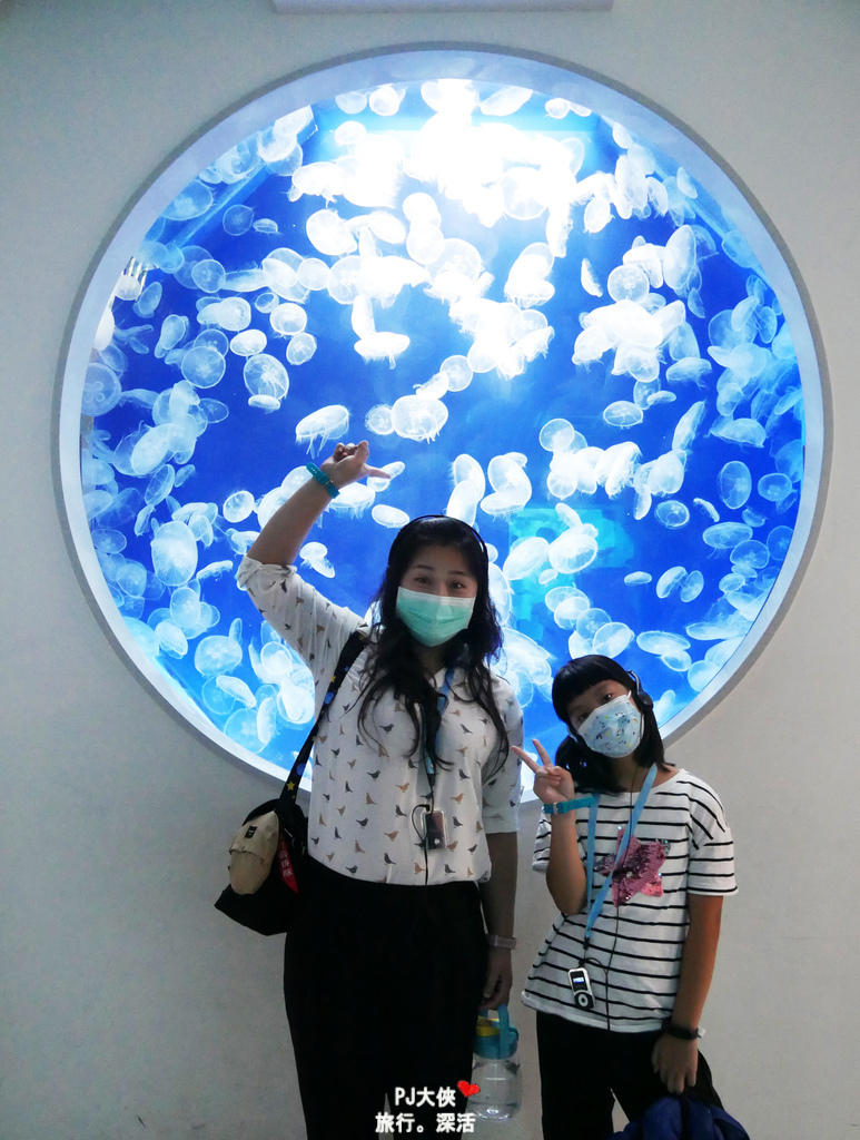 桃園Xpark水族館夜宿體驗線上優惠折扣多少錢價錢價格過夜一泊三食宿海奇遇和逸飯店餐廳逸市集