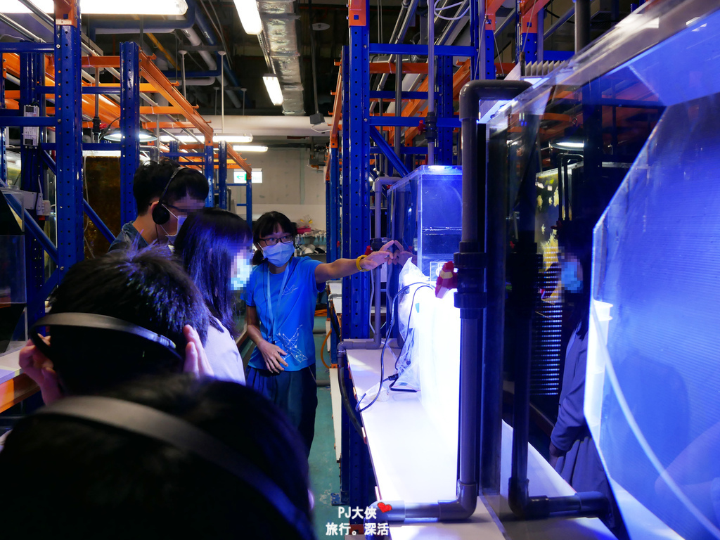 桃園Xpark水族館夜宿體驗線上優惠折扣多少錢價錢價格過夜一泊三食宿海奇遇和逸飯店餐廳逸市集