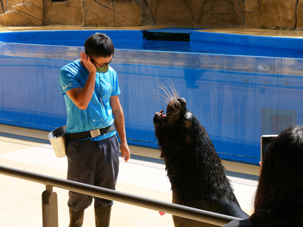 桃園Xpark水族館夜宿體驗線上優惠折扣多少錢價錢價格過夜一泊三食宿海奇遇和逸飯店餐廳逸市集