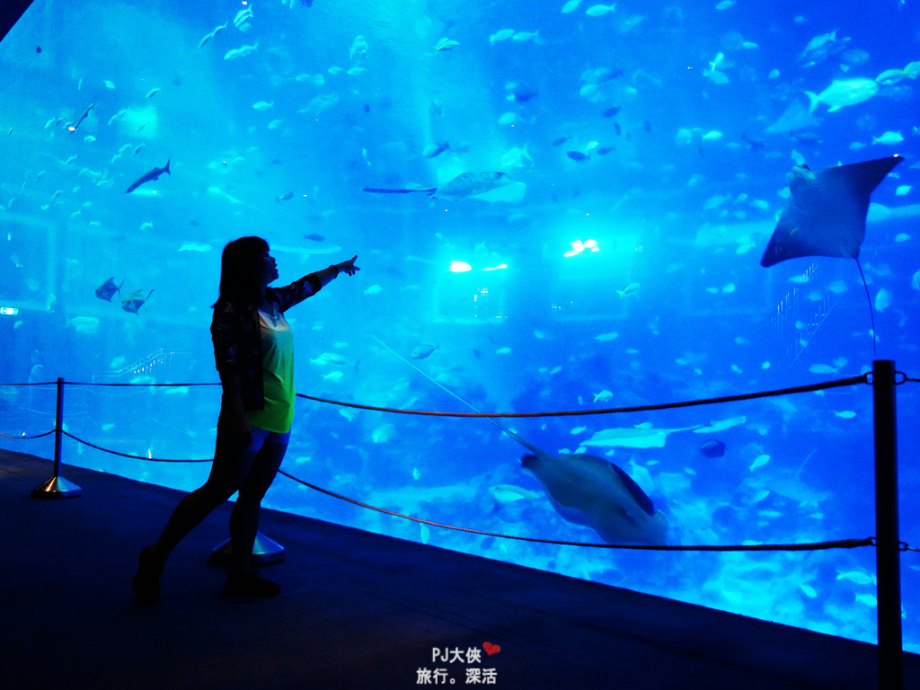 新加坡景點必去打卡熱門推薦人氣旅遊海洋水族館自助自由行4日5日景點門票價格