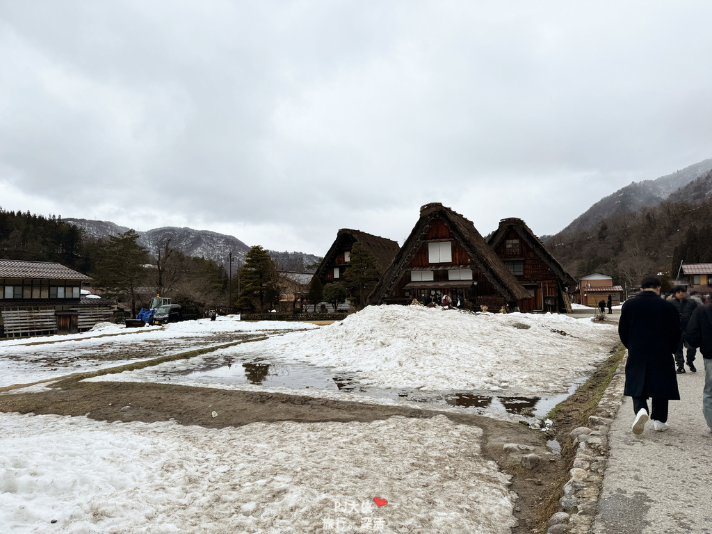 名古屋必去景點合掌村高山老街飛驒牛必吃美食交通資訊攻略教學跟團一日遊當地團多少錢價格線上折扣優惠專屬讀者白川崎阜