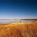 mono lake copy.jpg