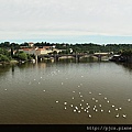 查理大橋-河面景色.JPG