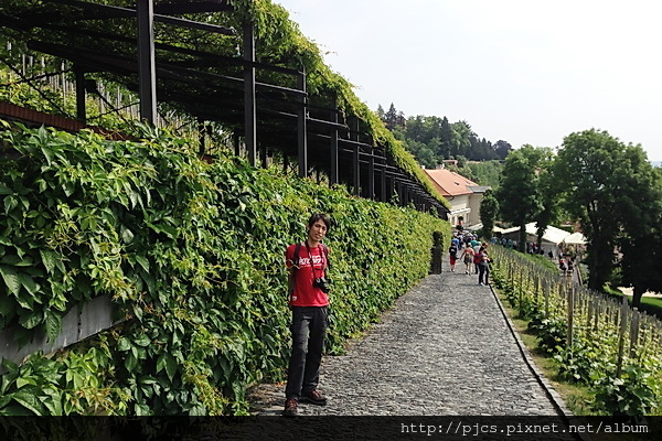 布拉格城堡-入口-Poly.JPG 布拉格城堡-入口-Poly.JPG