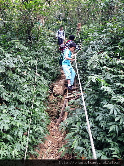 朋集山-林道拉繩.JPG 朋集山-林道拉繩.JPG