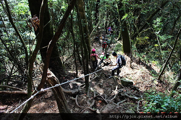 梢來山-林道(回程).JPG 梢來山-林道(回程).JPG