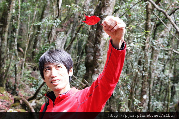 捎來山-楓葉和Poly3.JPG 捎來山-楓葉和Poly3.JPG