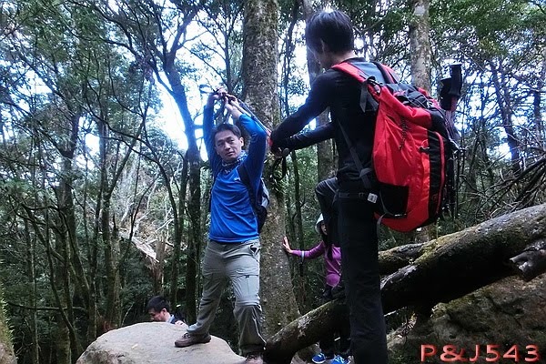 加里山-其它.jpg 加里山-其它.jpg