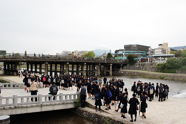 鴨川-沿岸2.JPG 鴨川-沿岸2.JPG